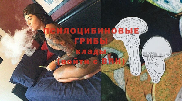 круглые Алзамай