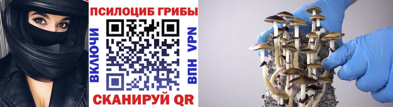Галлюциногенные грибы прущие грибы  это официальный сайт  Протвино 